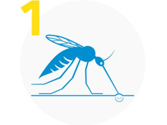 Eine blaue, stilisierte Mückenzeichnung in einem weißen Kreis mit der gelben Zahl „1“ in der oberen linken Ecke. Die Mücke berührt mit ihrem Rüssel eine Oberfläche.